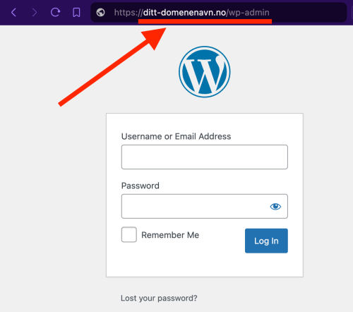 wp-login-example